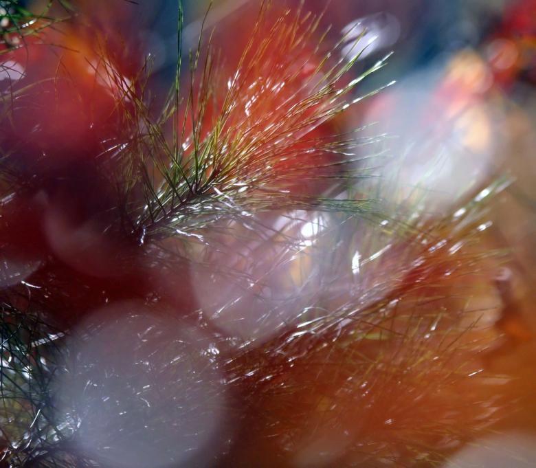 Free stock image of Autumn colors created by agphotostock.com