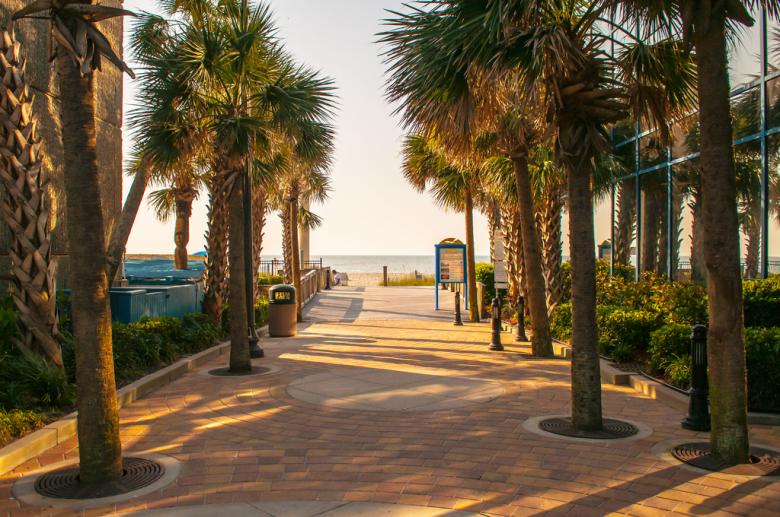 Free stock image of Palm tree alley created by agphotostock.com