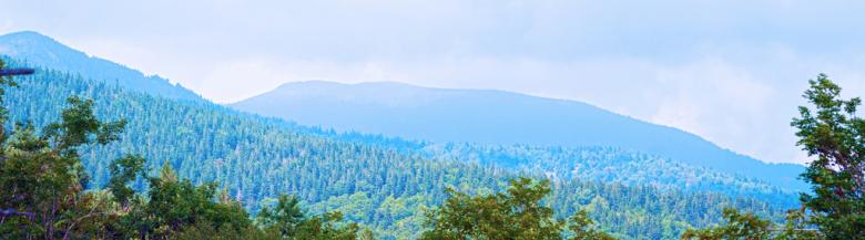 Free stock image of Forest Landscape created by agphotostock.com