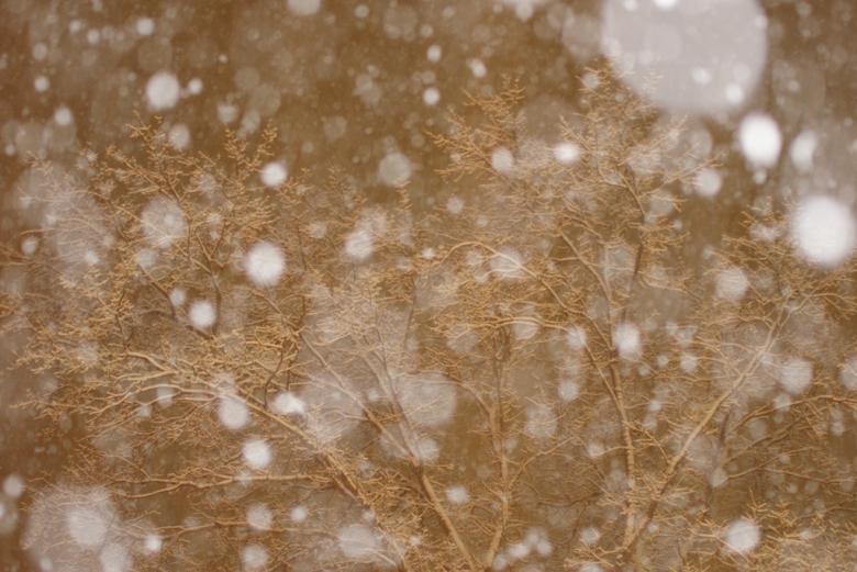 Free stock image of Heavy snowfall at night created by agphotostock.com