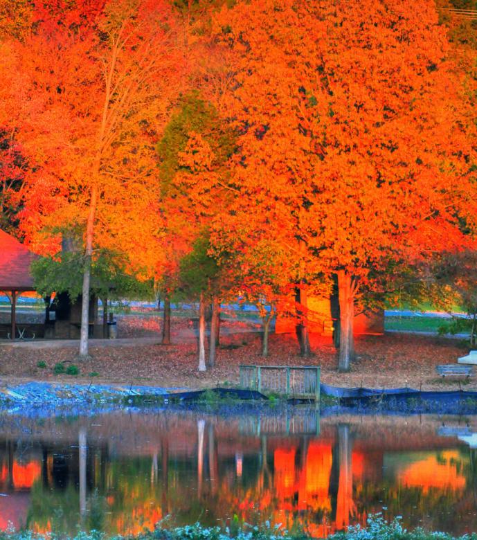 Free stock image of Fall season created by agphotostock.com