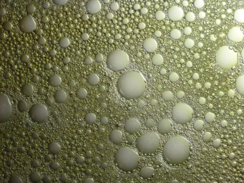 Free stock image of Bubbles Texture created by Free Texture Friday
