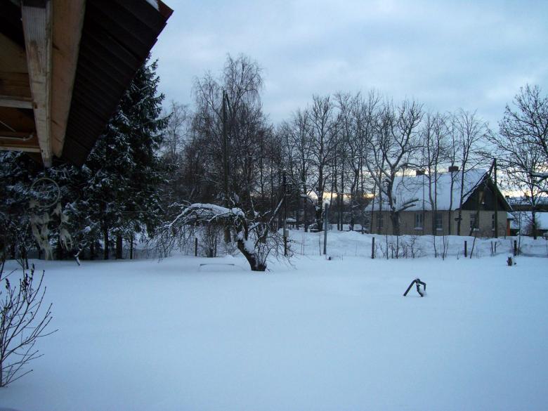 Free stock image of Winter created by Laura Dambite