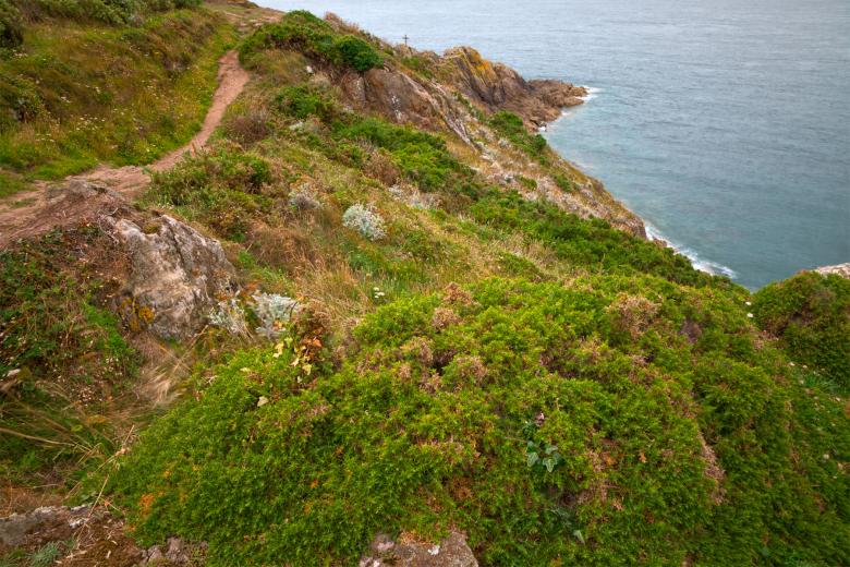 Free stock image of Coastal Saint-Malo Scenery - HDR created by Nicolas Raymond