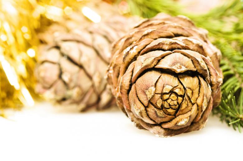 Free stock image of christmas decoration created by 2happy