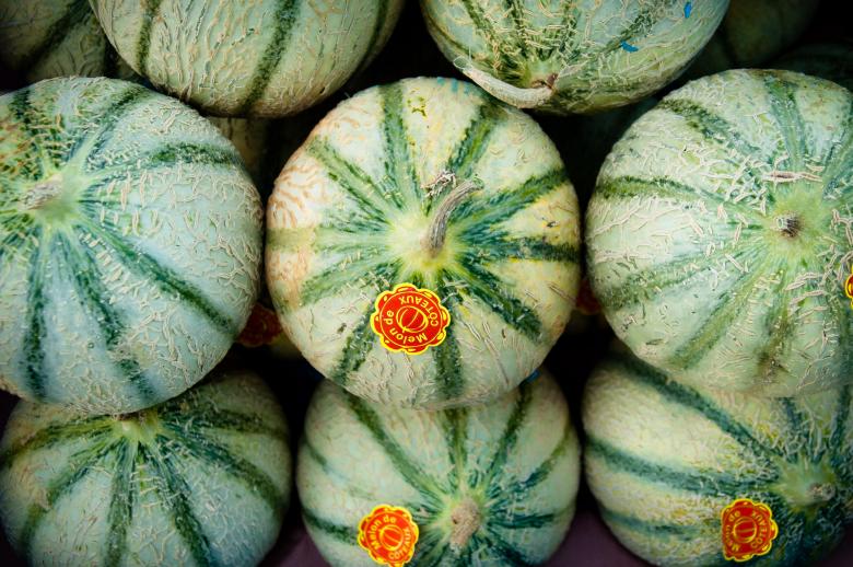 Free stock image of Melons melon created by Luka
