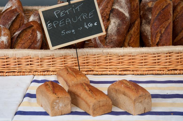 Free stock image of French bread created by Luka