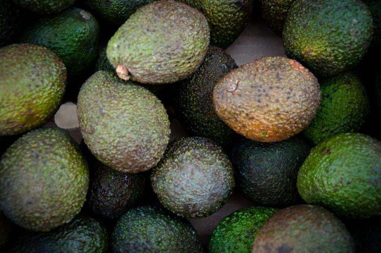 Free stock image of Avocado created by Luka