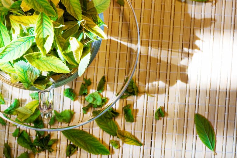 Free stock image of Cup with leaves created by 2happy