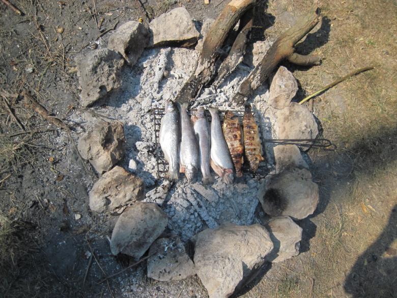 Free stock image of Trout fish on the fire created by Boris Kyurkchiev