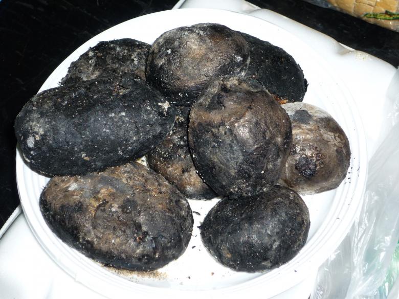 Free stock image of Burned Potatoes created by Dimitar Dimitrov