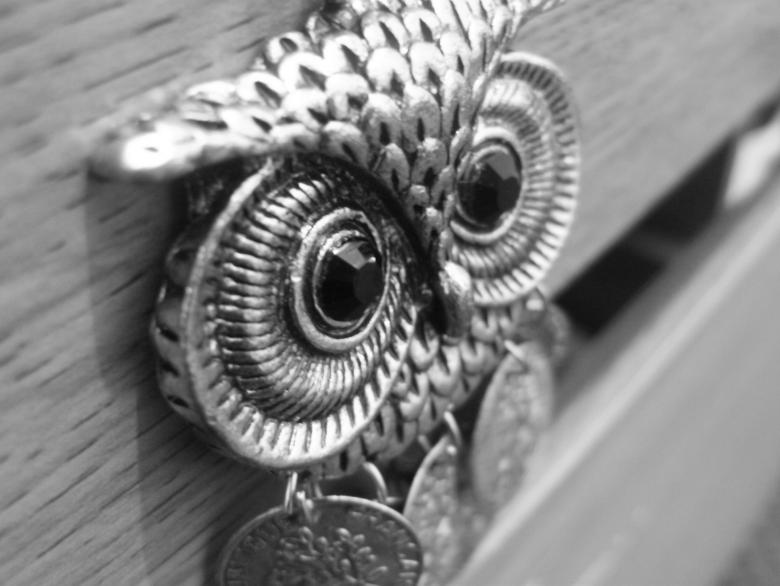 Free stock image of Owl  created by Giannini Susan