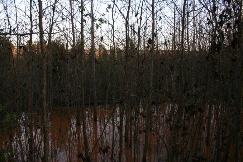 Free stock image of Hidden created by Clifford M. Kinsman