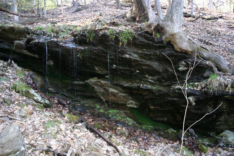Free stock image of Ground Water Seeping Out created by Clifford M. Kinsman
