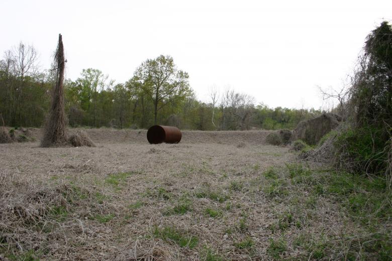 Free stock image of Kudzu Valley created by Clifford M. Kinsman