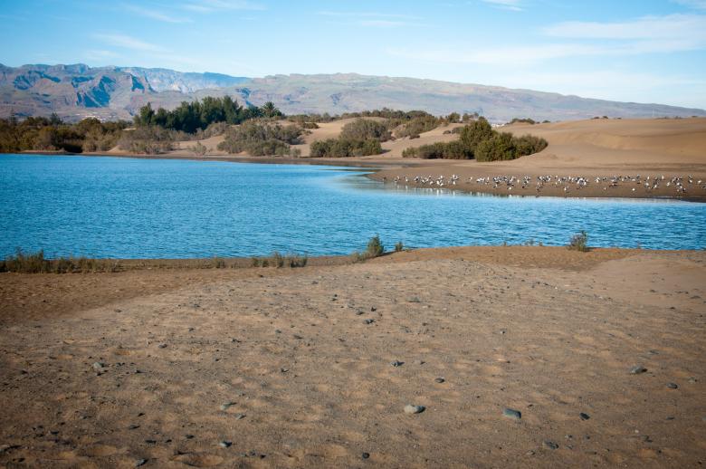 Free stock image of Dune landscape created by Luka