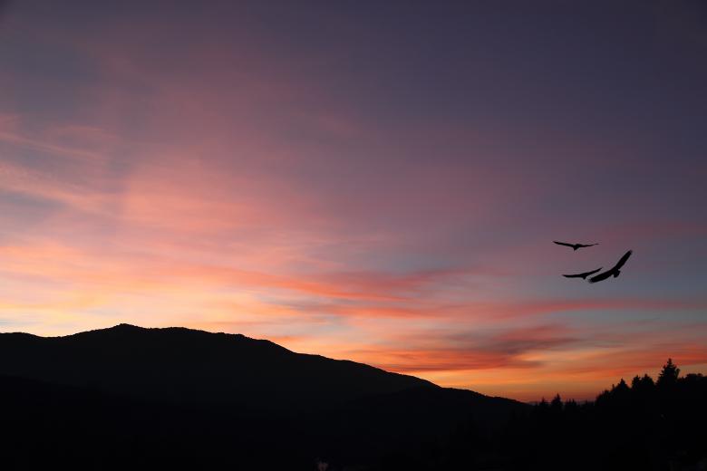Free stock image of Sunset created by Ferran Garcia Julià