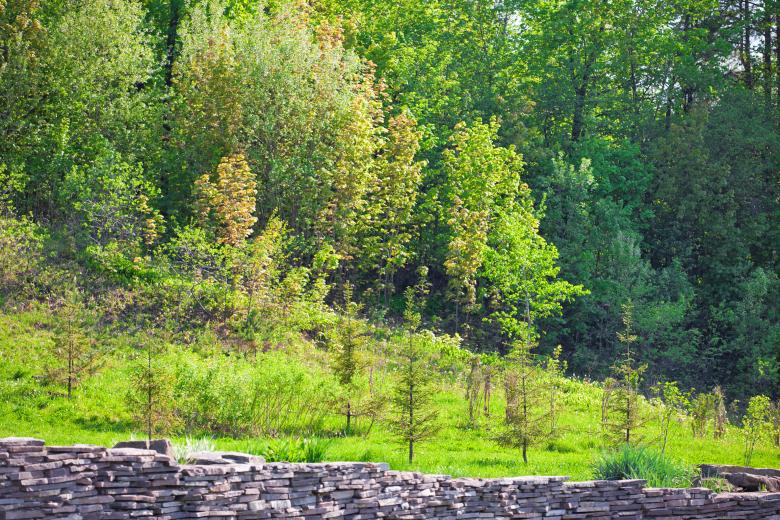 Free stock image of summer scene created by 2happy