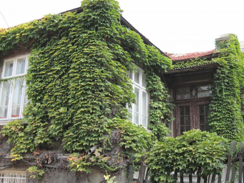 Free stock image of Green house created by Boris Kyurkchiev