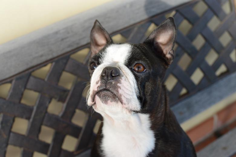 Free stock image of Cami created by mazzynga