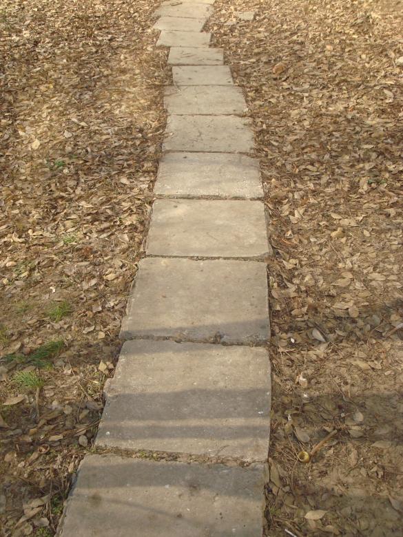 Free stock image of Path in the park created by Boris Kyurkchiev