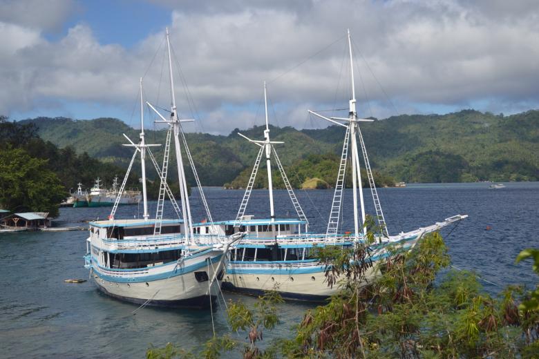Free stock image of Twin Boats created by Ryan Jhoe