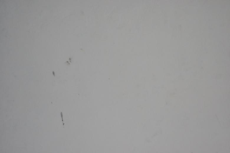 Free stock image of Wall texture with white paint and black  created by Ryan Jhoe