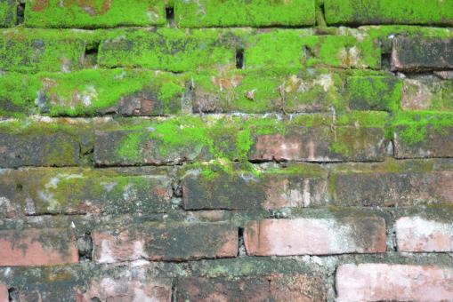 Brick and moss wall texture - Free Stock Photo