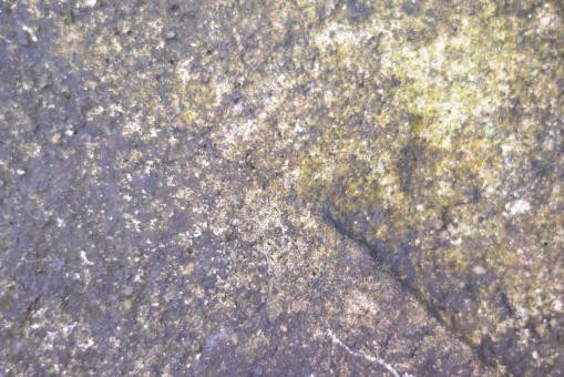 Free Stock Photo of Grunge and rough wall texture