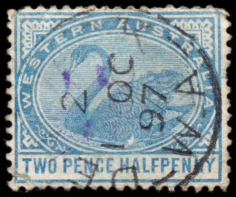 Free stock image of Blue Swan Stamp created by Nicolas Raymond