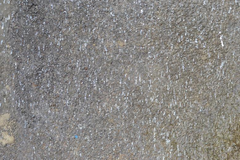 Free stock image of Rough and hardcore wall texture  created by Ryan Jhoe