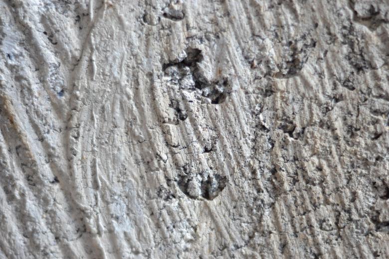 Free stock image of Rough Wall Concrete created by Ryan Jhoe