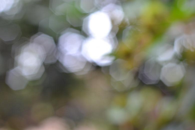 Free stock image of Blurry Light created by Ryan Jhoe