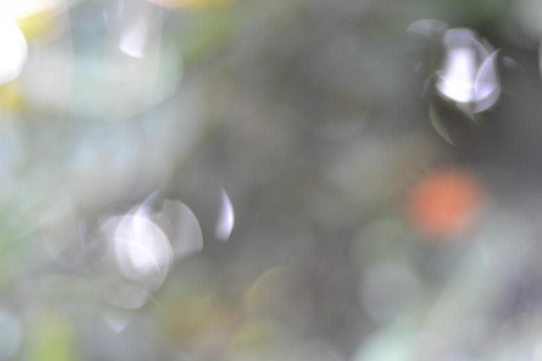 Free stock image of Blurry Light Texture created by Ryan Jhoe