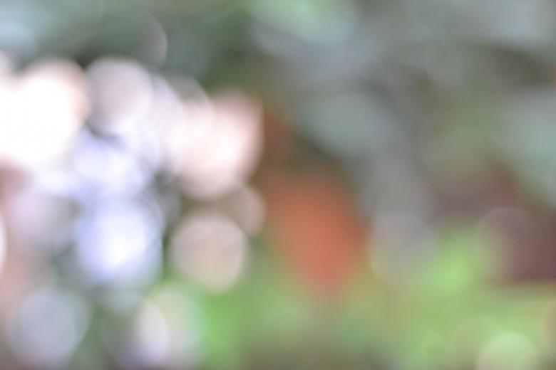 Free stock image of Blurry Grape Lights Shape created by Ryan Jhoe