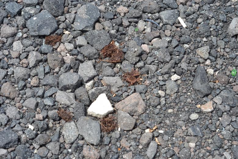 Free stock image of Rocky texture created by Ryan Jhoe
