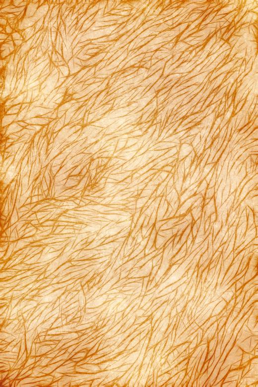 Free stock image of Furry Grunge Texture created by Nicolas Raymond