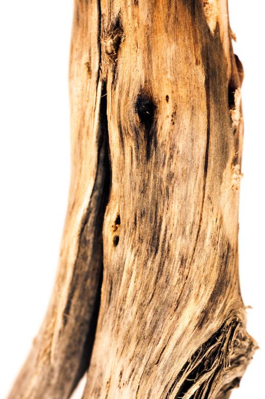 Free stock image of wood background created by 2happy