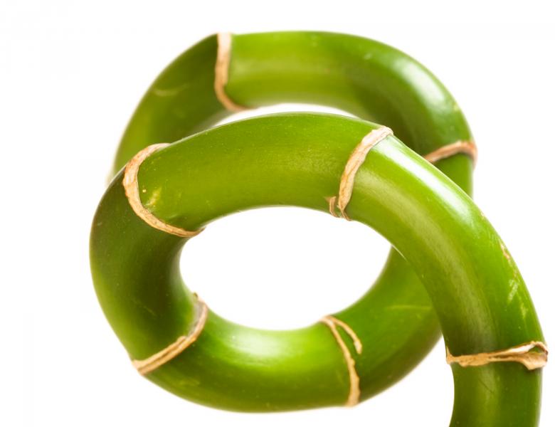 Free stock image of Plant stem created by 2happy