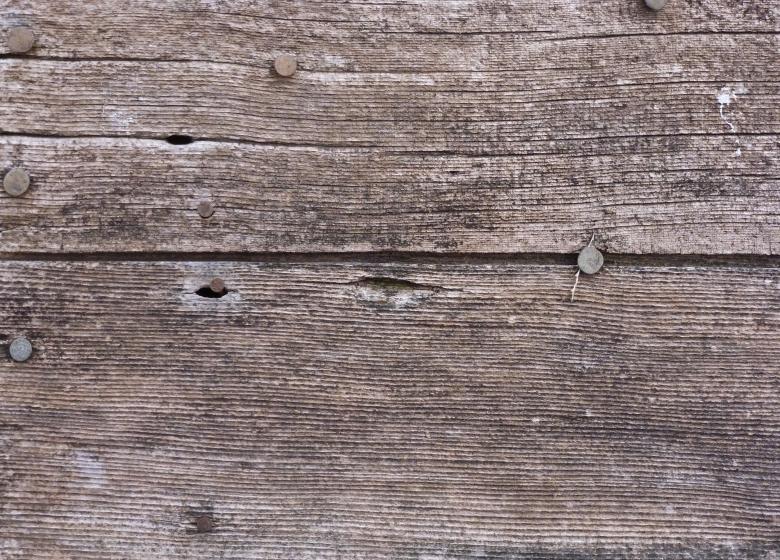 Free stock image of Old Wood Texture created by Free Texture Friday