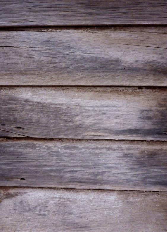 Free stock image of Old Wood Texture created by Free Texture Friday