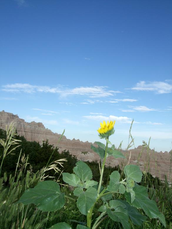 Free stock image of Badlands created by Crystal Kordalchuk