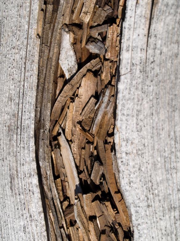 Free stock image of Wood created by Geoffrey Whiteway