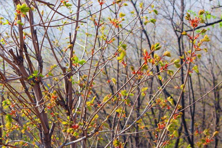 Free stock image of nature scene created by 2happy