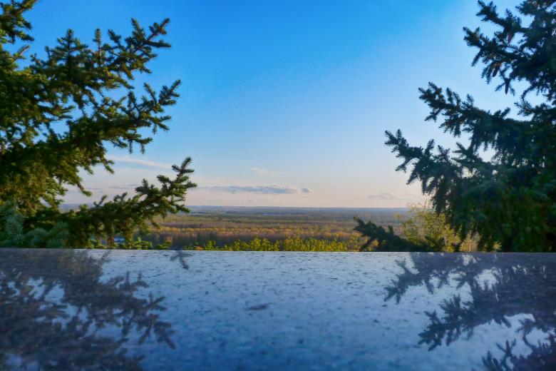 Free stock image of trees and sky created by Vladimir Ovcharov