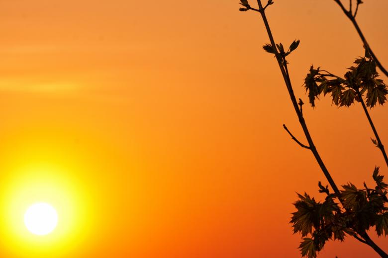 Free stock image of Sunset created by 2happy