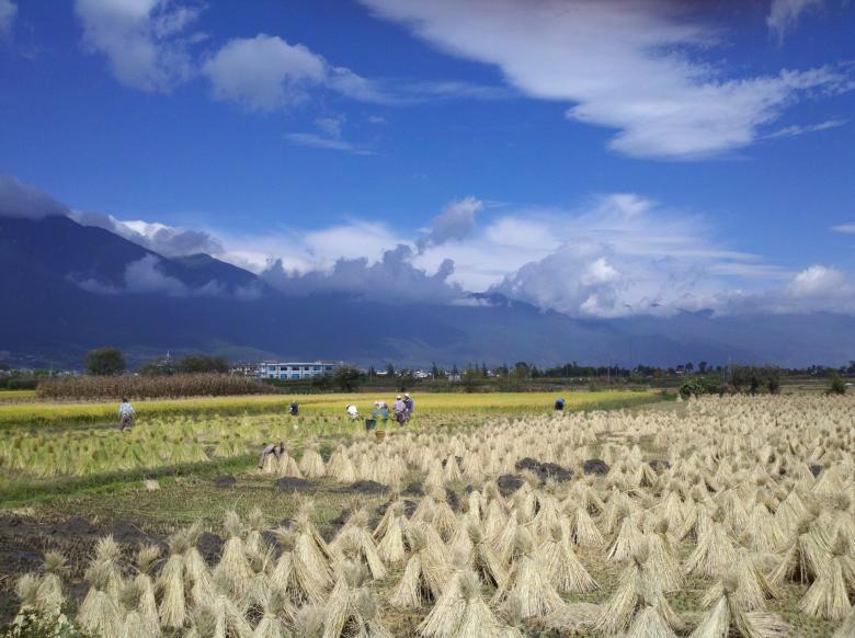 Free stock image of Countryside created by Aurore