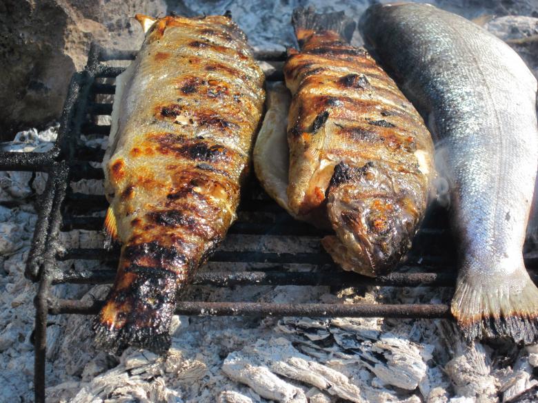 Free stock image of Trout fish barbecue created by Boris Kyurkchiev