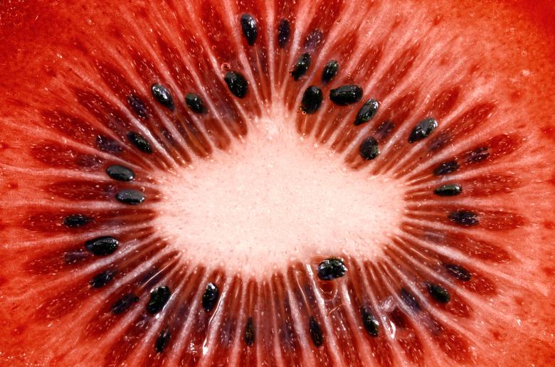 Free stock image of Red Kiwi Slice Macro created by Nicolas Raymond