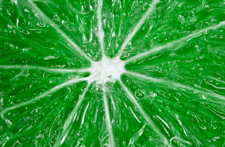 Free stock image of Lime Slice Macro created by Nicolas Raymond
